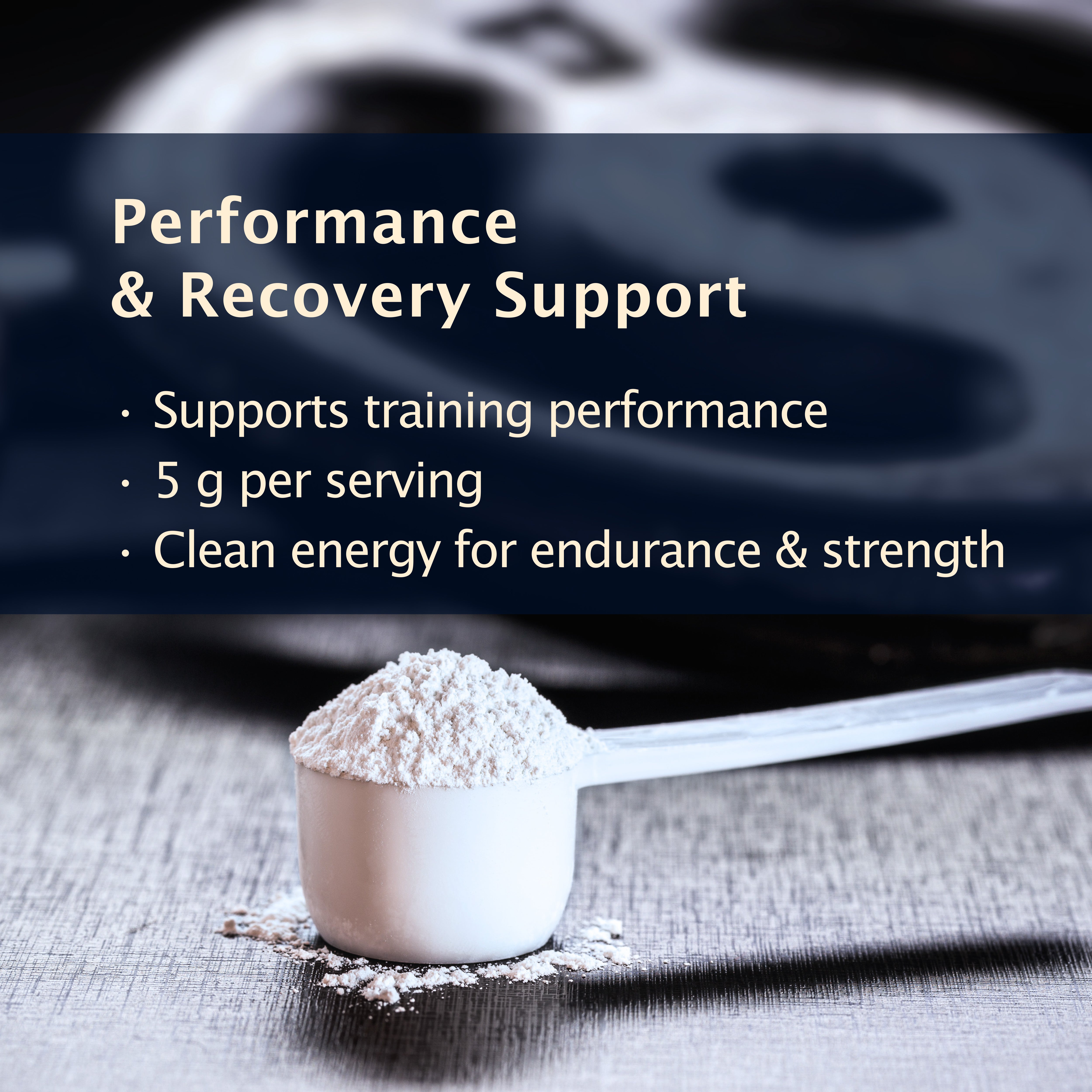 Creatine Monohydrate Unflavored / 5 G MICRONIZED CREATINE | 10.58 OZ
